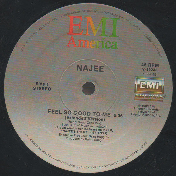 Najee - Feel So Good To Me - 12"