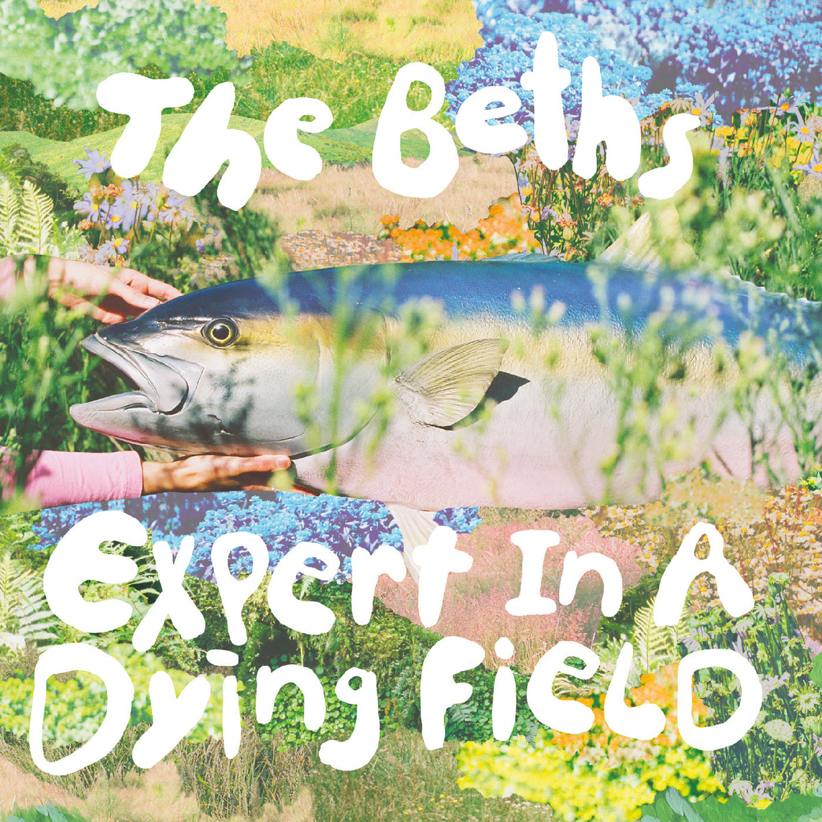 The Beths - Expert in a Dying Field - LP - New