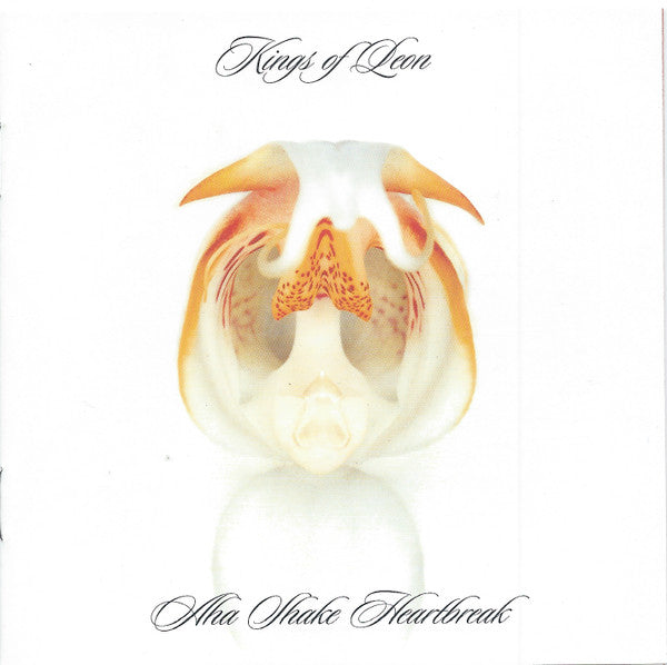 Kings Of Leon - Aha Shake Heartbreak - CD