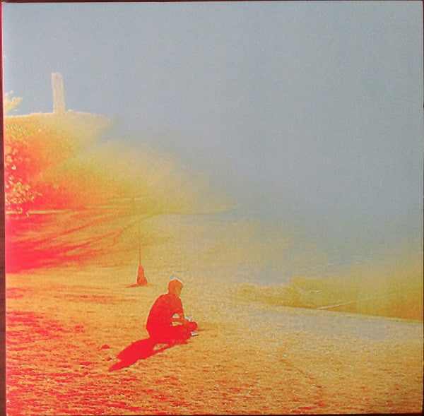 The Flaming Lips - The Terror - LP
