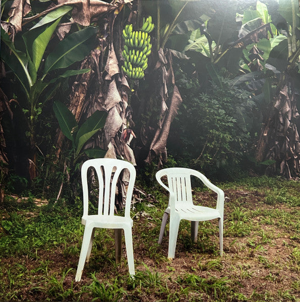 Bad Bunny - Debí Tirar Más Fotos - LP