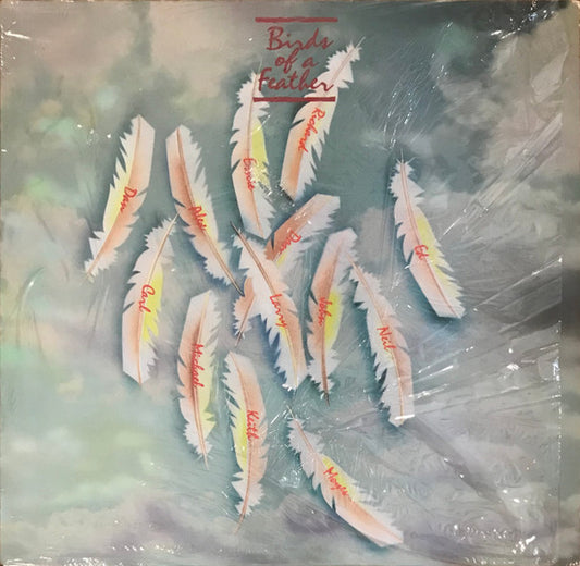 Birds Of A Feather - Birds Of A Feather - LP