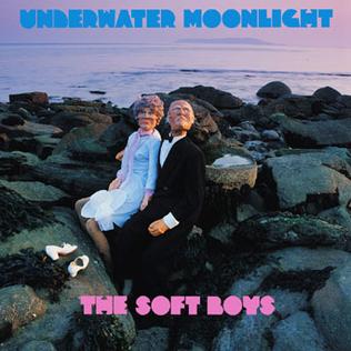 Soft Boys - Underwater Moonlight - Reissue LP - New