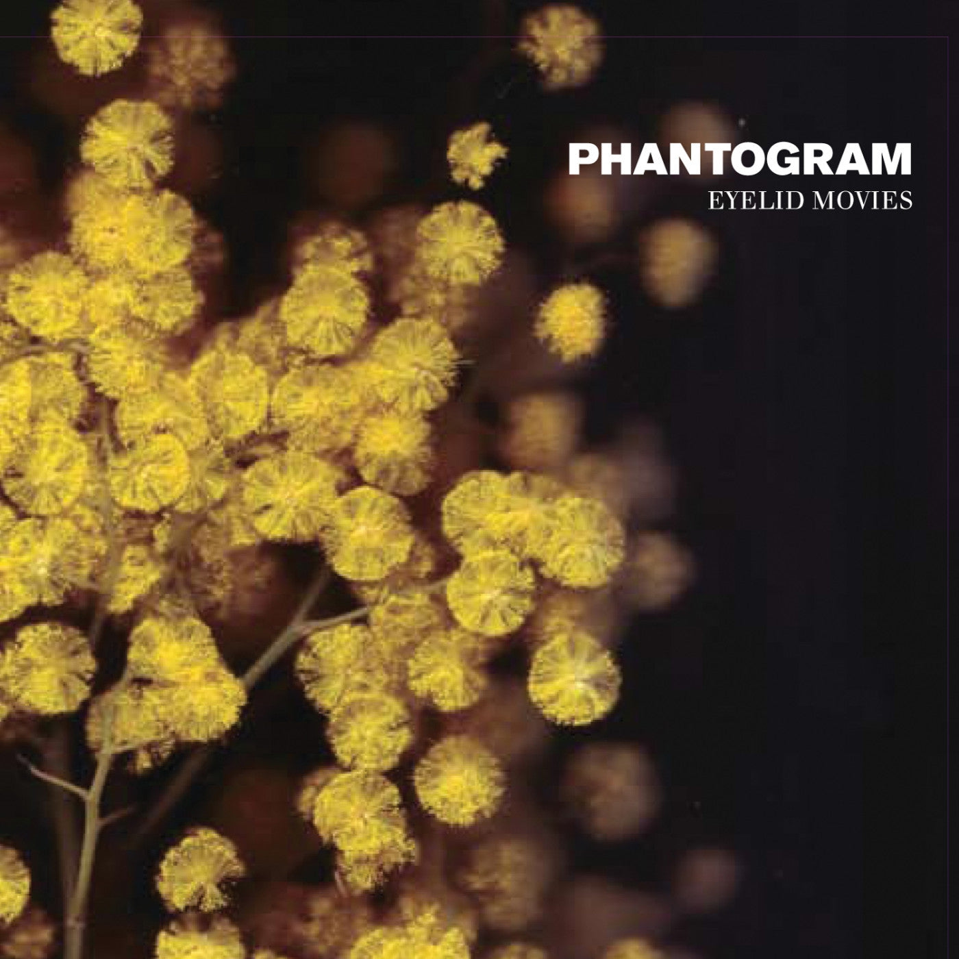 Phantogram - Eyelid Movies (Clear with Yellow Swirl Vinyl) - LP - New